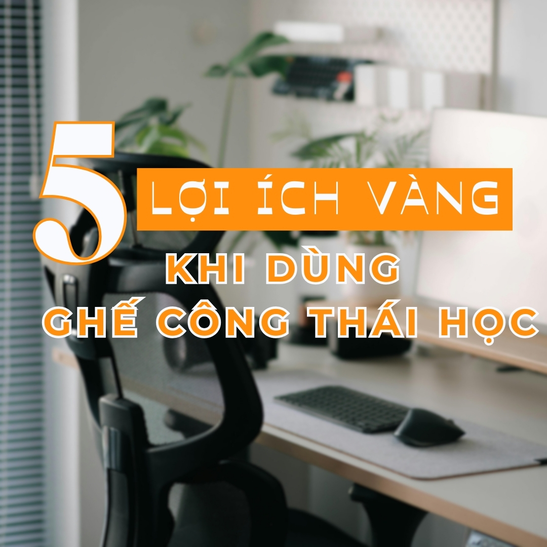 5 Lợi Ích Vàng Khi Dùng Ghế Công Thái Học: Tại sao đây là khoản đầu tư xứng đáng?